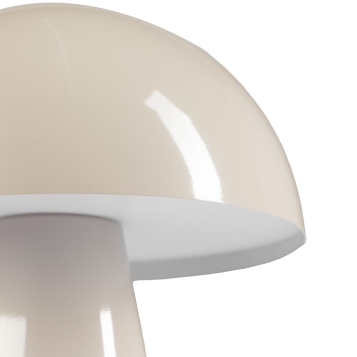 image_433fbdf4-5e1a-47b3-b867-dda5cf6e6215