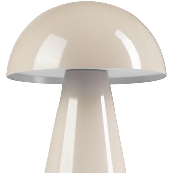 image_fc783b2a-c203-4c78-980a-e54e3091079c