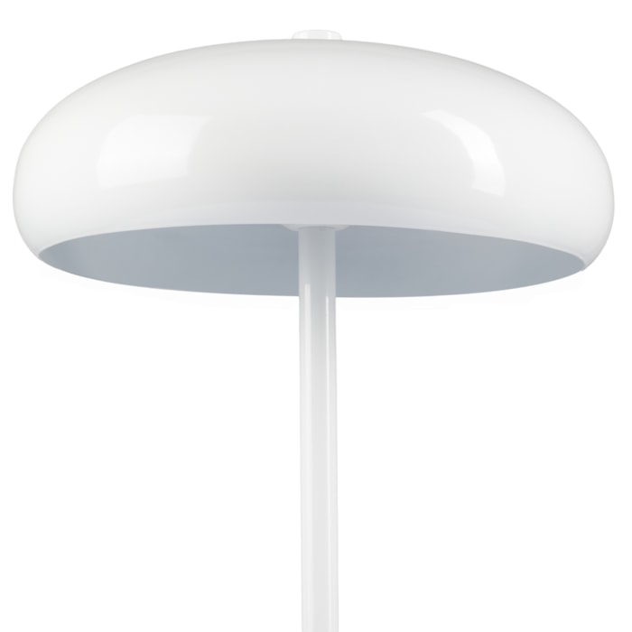 image_bf760bae-81c8-41b9-9a78-61b1871de477