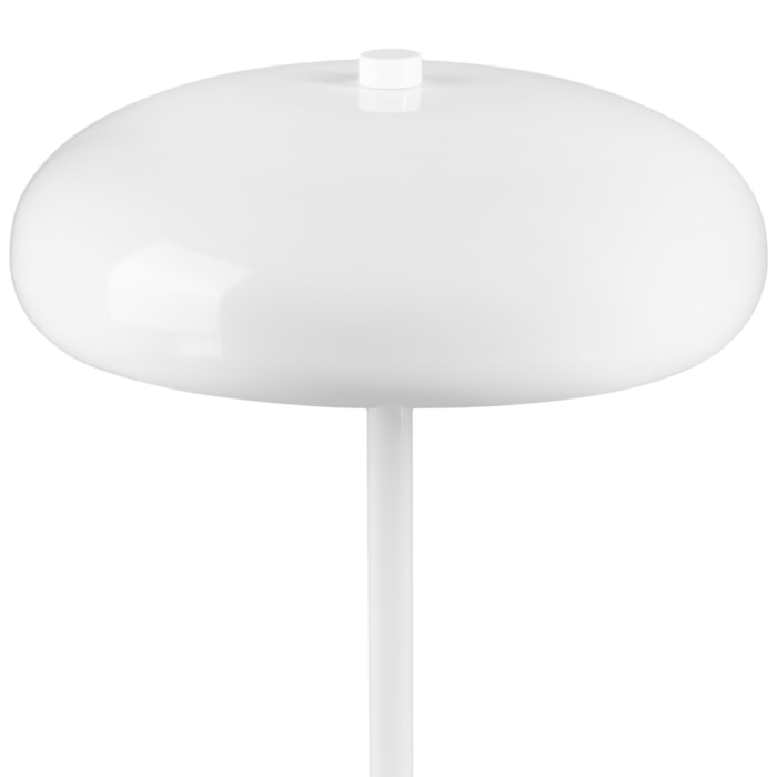 image_7bb864d3-8d40-4551-94dd-618be74b3b1c