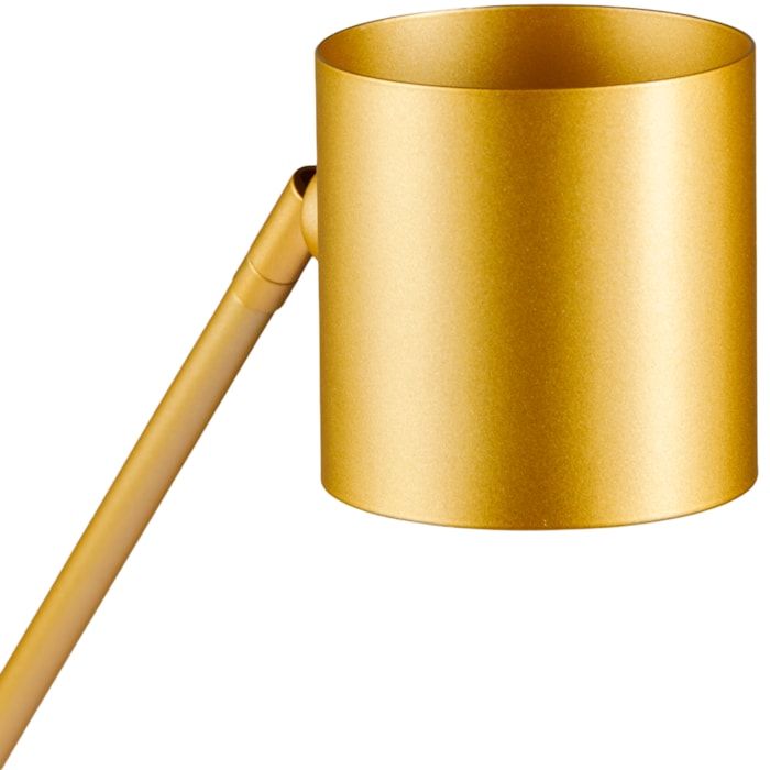 image_2c8bfb08-a63d-42b2-8c61-27191db7d811