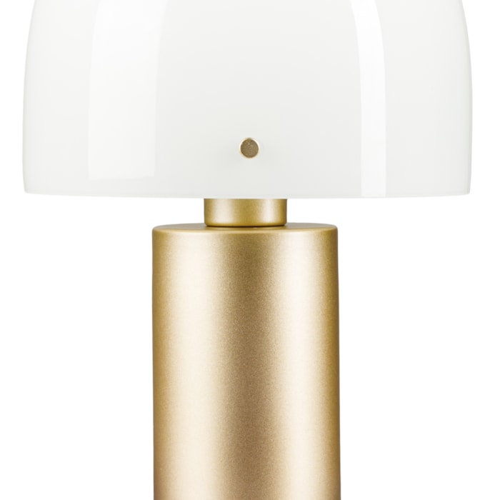 image_65b5a8c5-6bea-4989-85a5-fb9560526b96