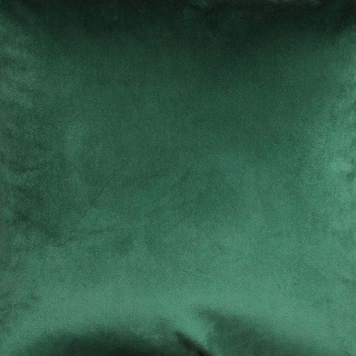 image_5319c2fe-6d91-414e-ba7a-e367d5d8e86f