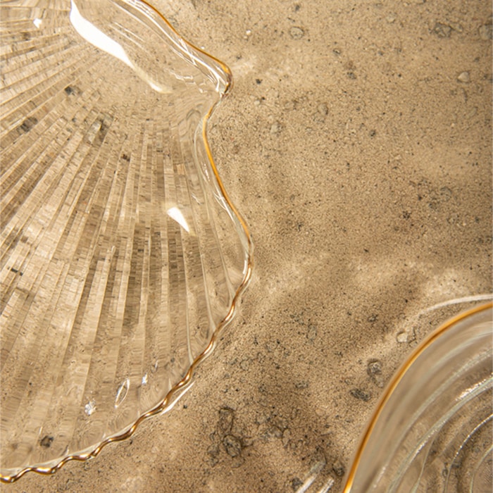 image_adbc8f04-81c7-4025-919c-55259e7d96c3