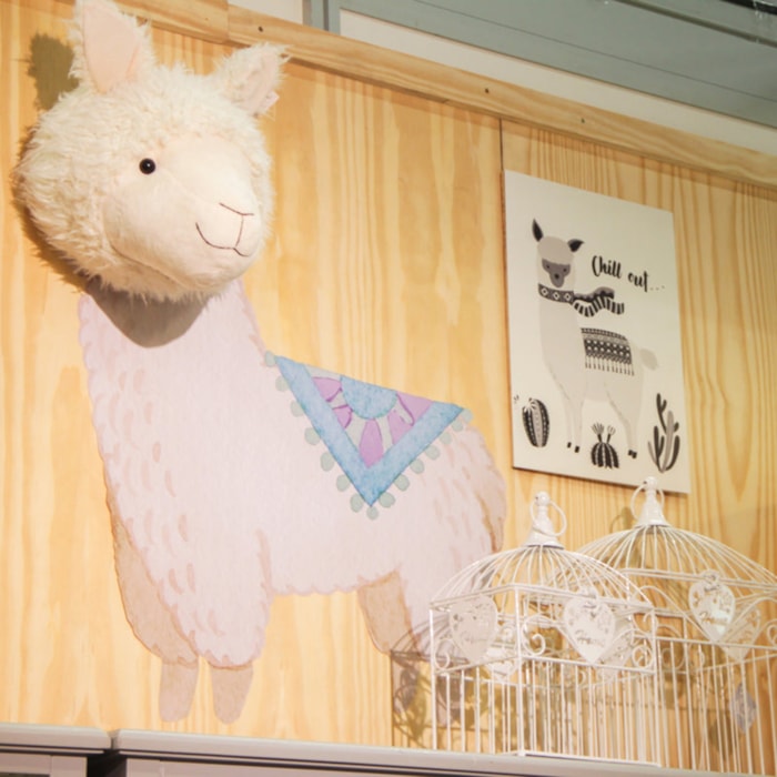 image_7b9a6f53-1ffd-462e-be07-7f5f66cfa76b