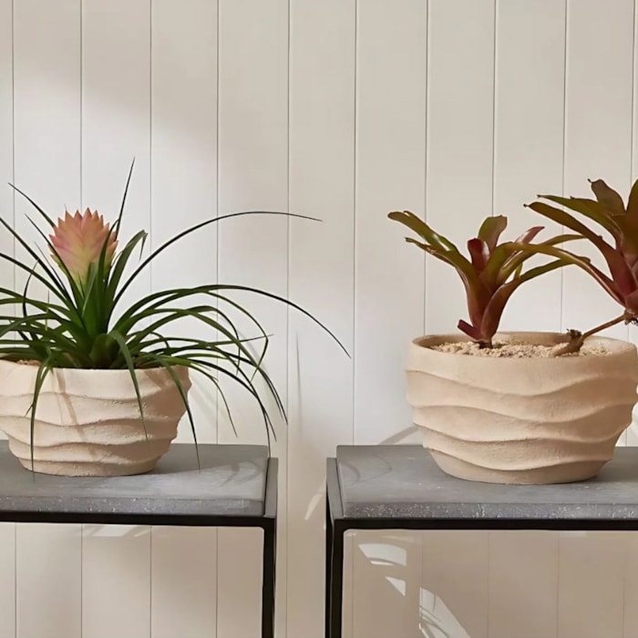 image_e89c33e6-228e-415c-bcc3-1005d4f36a22