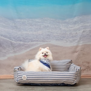 Cama Pet Ilhéus Azul P 66x55cm