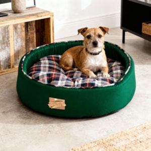 Cama Pet Redonda Tricoline 100% Algodão 52x15x52cm Verde Bandeira