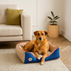 Cama Pet Sport Net Bege e Azul M 67x55cm