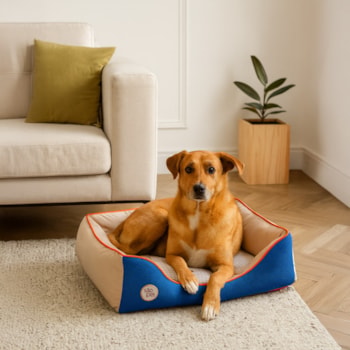 Cama Pet Sport Net Bege e Azul M 67x55cm