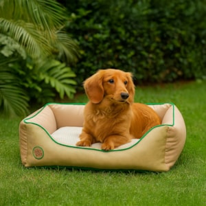 Cama Pet Sport Net Bege e Verde M 67x55cm