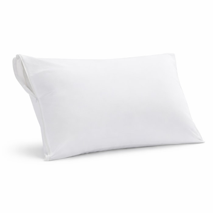 image_b2027f19-e206-46c5-ba24-466b14af5785