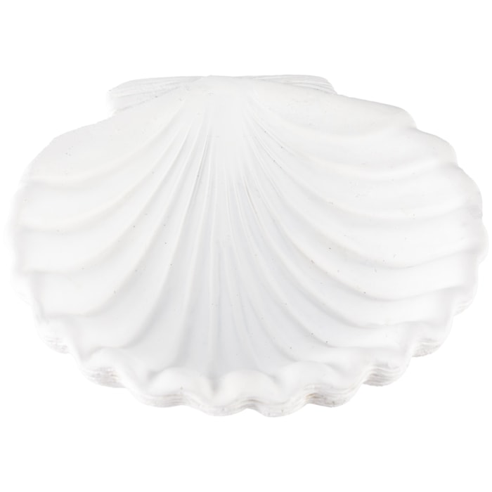 image_912c217c-a90a-4796-8d6e-fe74b18da738