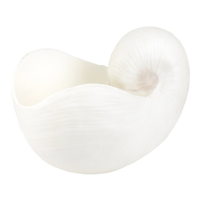 Centro de Mesa de Resina Concha Branco - 29cm - Madel Home