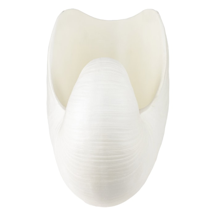 Centro de Mesa de Resina Concha Branco - 29cm - Madel Home