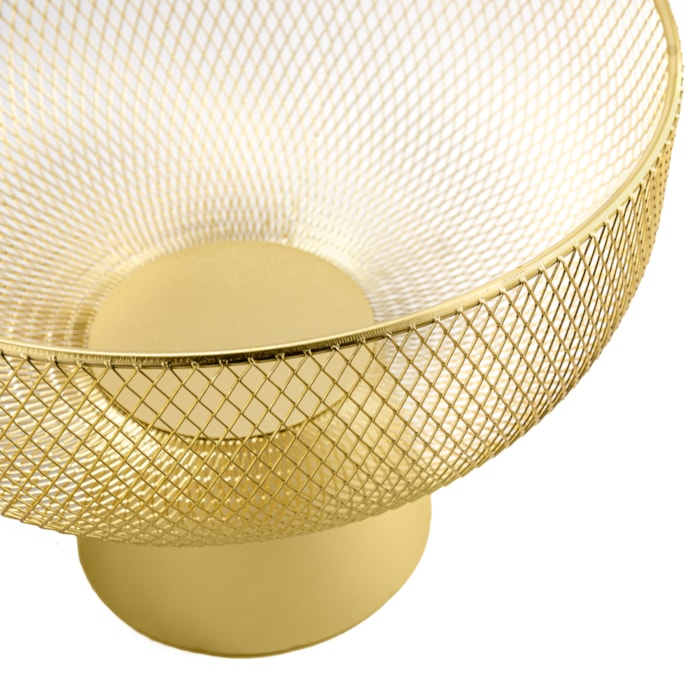 image_c1069e19-385c-47d5-88bb-9fe0d28177dd