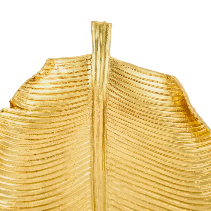 image_d9a5675d-d83d-447c-a4fb-8a0e0abd0c05