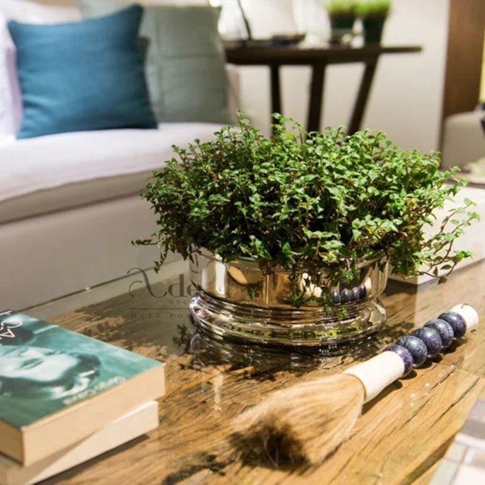 image_cb927877-485f-44bd-88a5-3b14e5538f1a