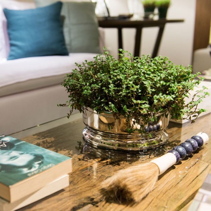 image_9d5885ff-5b33-4cb8-a560-a2e14dffed7f