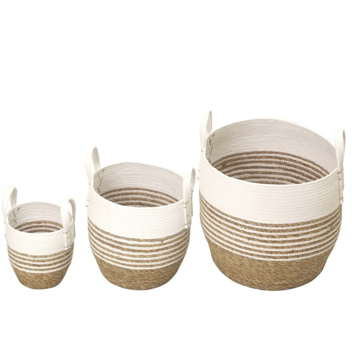 image_10f0184c-60bc-41d2-899b-c0a7d40d62df