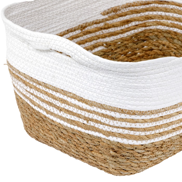 image_ce323561-a680-4543-a8fd-7eddf11c8d3c