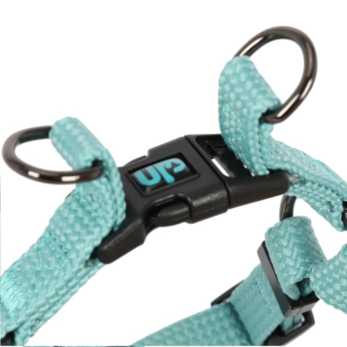 Coleira Peitoral Pet Solids Verde G - Madel Home