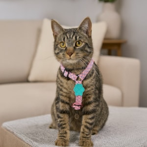 Coleira Peitoral Pet Vivid Rosa P