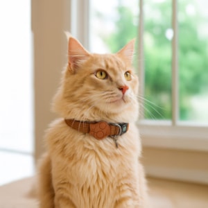 Coleira Pet Solids Marrom G