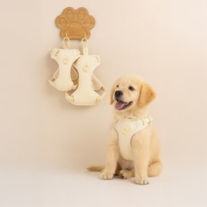 Colete Peitoral Pet Bubble Bege PP