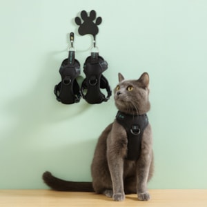 Colete Peitoral Pet Bubble Preto XG
