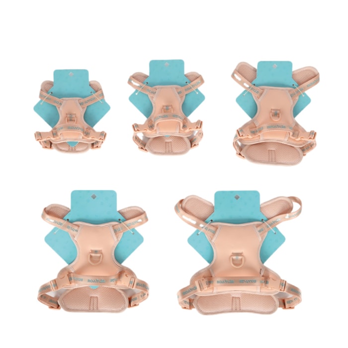 image_1a8cac62-5a3d-4389-9aaa-3bcbada603b1