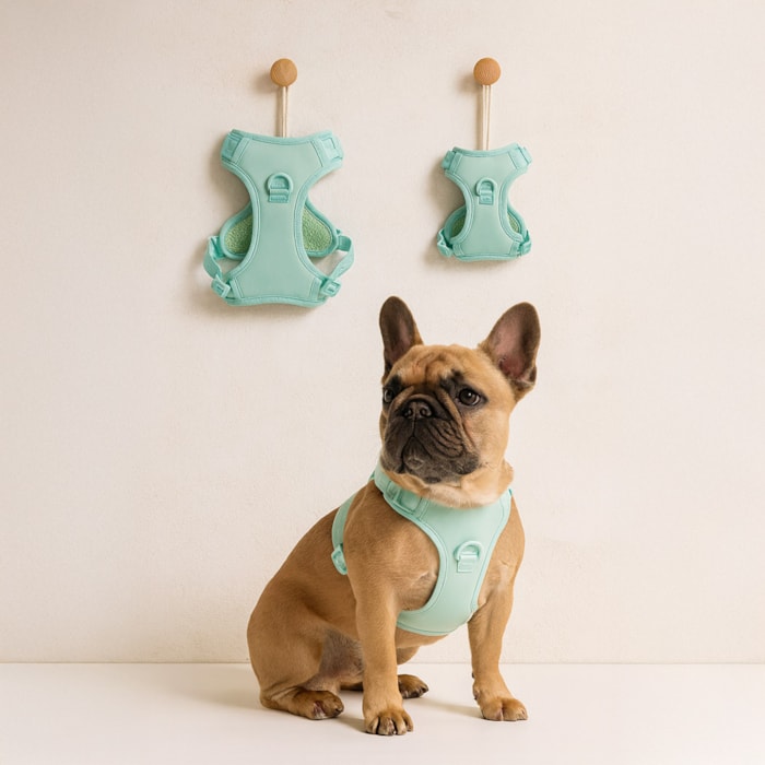 Colete Peitoral Pet Bubble Verde M - Madel Home