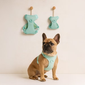 Colete Peitoral Pet Bubble Verde PP