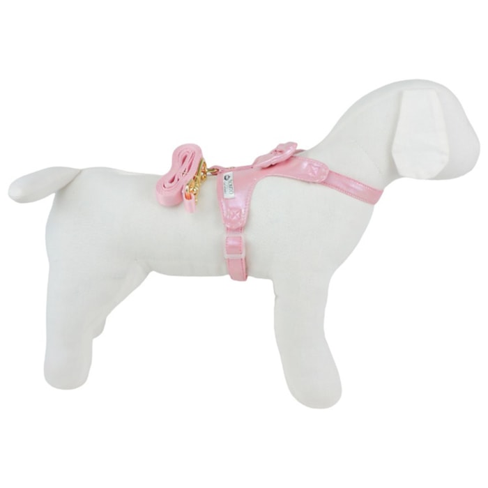 image_e5df3684-2b2f-4334-8506-81621a392cdc