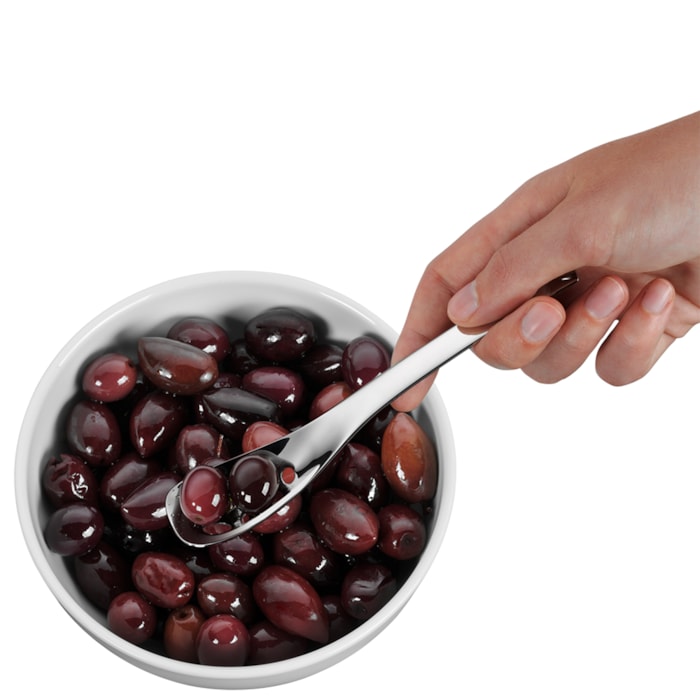 image_66665fee-4cfc-444f-a9c5-fd272abcb87d