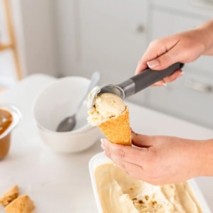 Colher de Sorvete em Zinco Prata KitchenAid - 22cm