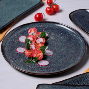 Conjunto 6 Pratos Raso em Stoneware Bio Titanium Porto Brasil - 27,5cm