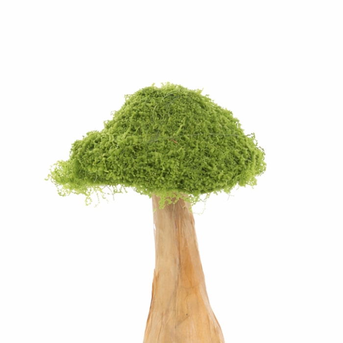 Enfeite de Páscoa Cogumelo Musgo Verde - 21cm - Madel Home