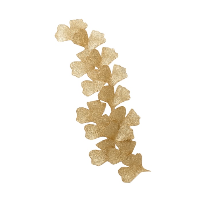 image_c429226b-a062-4722-b2c5-57d3af1cd149