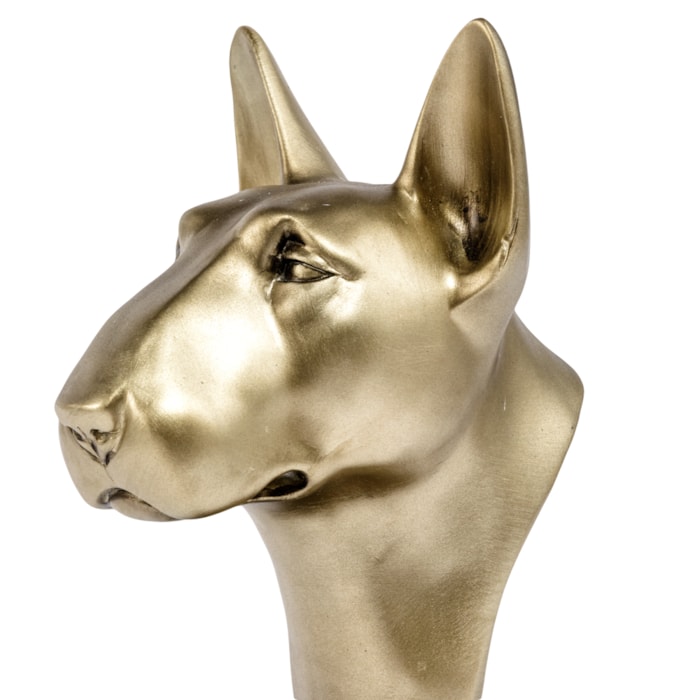 image_180bd232-bd7a-477b-9029-9d4eb61254ba