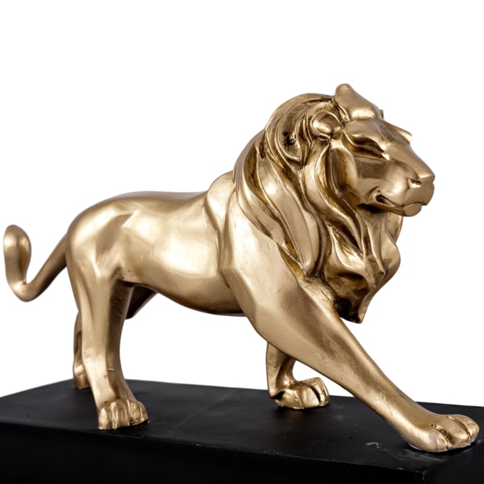 image_ccf008cb-463b-4a0c-afcd-f76ad8dc053f