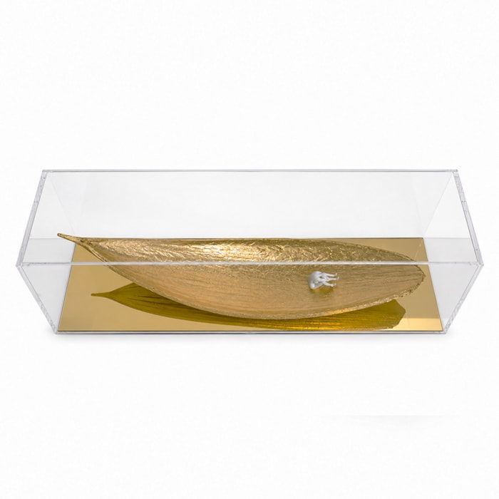 Escultura Decorativa Canoa em Acrílico Kalina Juzwiak - Madel Home