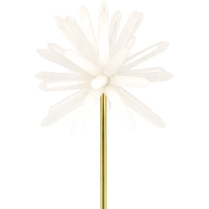 image_f8227268-bced-4b10-87fa-64d21ce6fe84