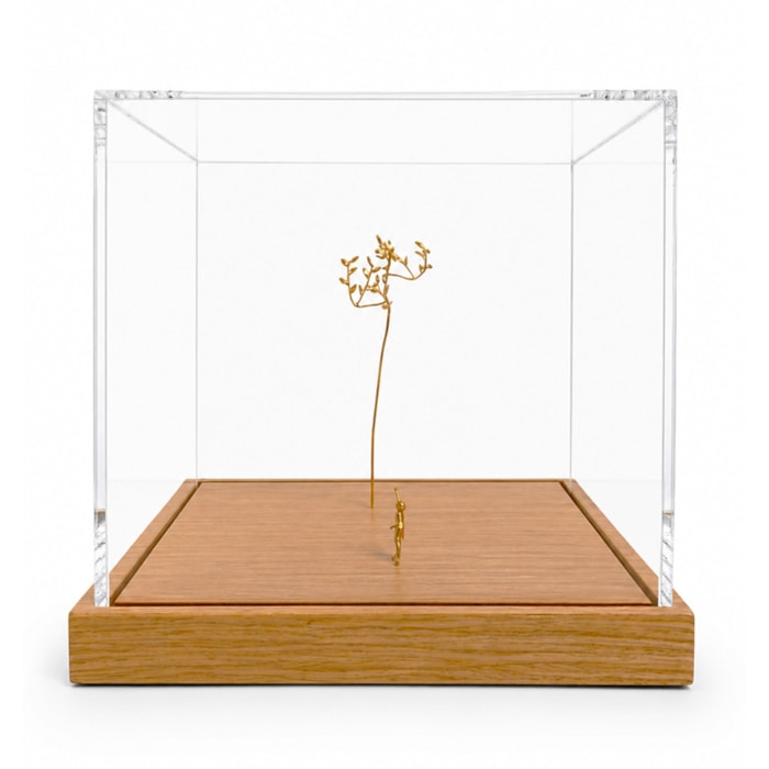 Escultura Decorativa Ensaio Sobre o Voo 2 em Acrílico Banhado a Ouro Gabriel Dalzotto - Madel Home