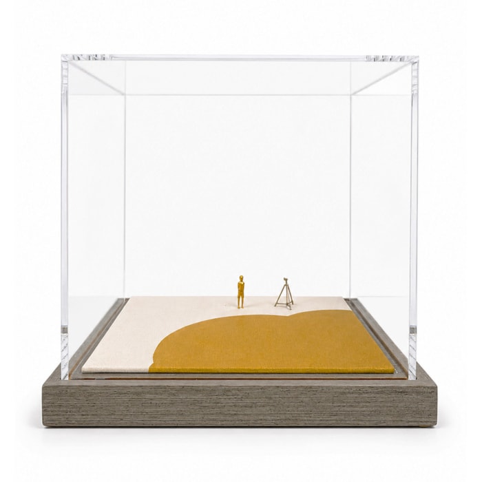 Escultura Decorativa Ensaio Sobre o Voo 3 em Acrílico Gabriel Dalzotto - Madel Home
