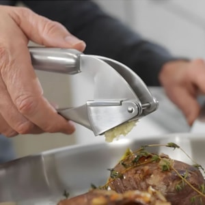 Espremedor de Alho em Inox Prata Zwilling Pro - 21cm