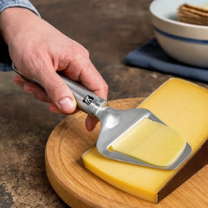 Fatiador de Queijo em Inox Prata Zwilling Pro - 22,5cm