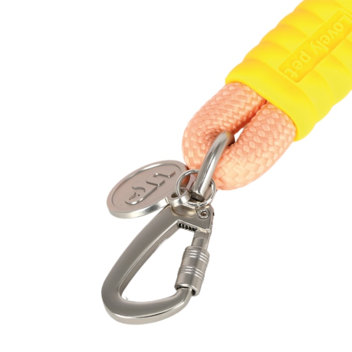 image_09657c09-e061-4f23-a5e9-fce39faa572f