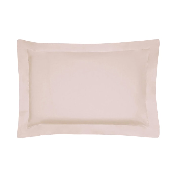 image_c8b2e90c-c4eb-4c4e-af66-575980663600