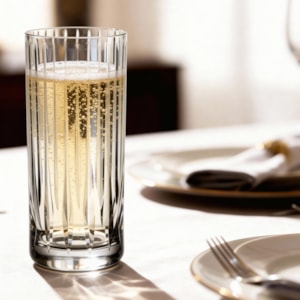 Jogo de Copos de Long Drink em Cristal Roma Strauss 395ml - 6 Peças 